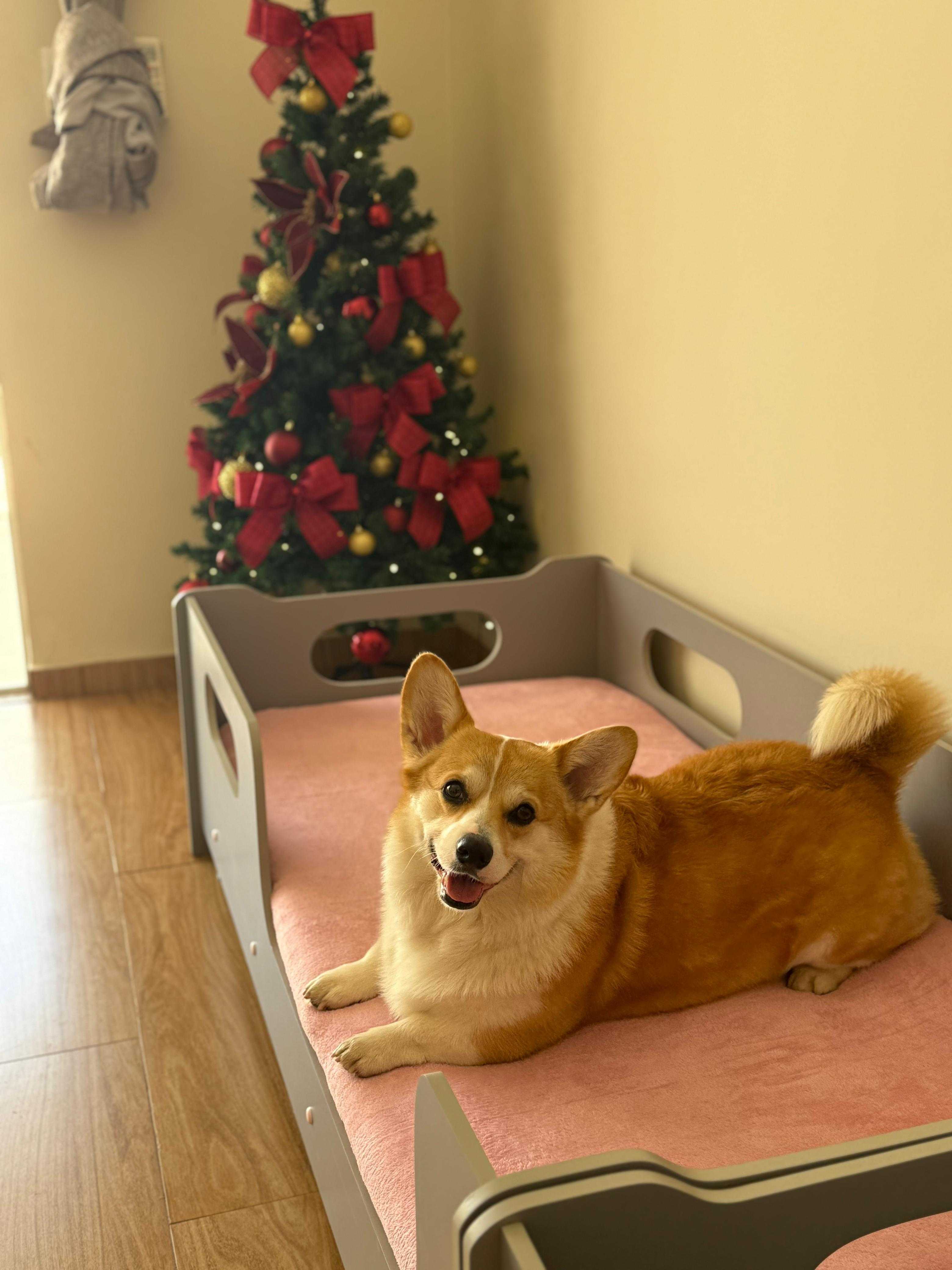 Hotel e Crechet Pet Landing Image